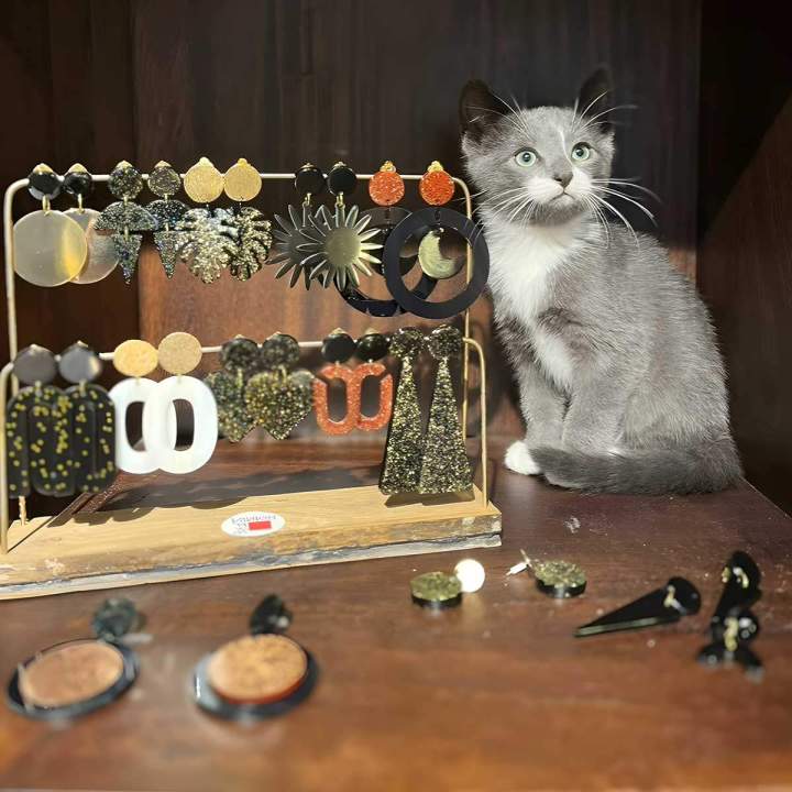 Des bijoux élégants pour les oreilles non percés