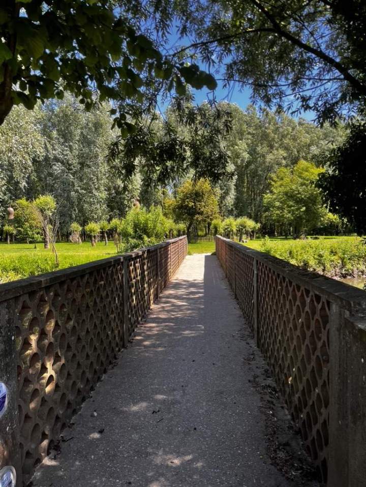 C7BCB9B9 C598 4800 94B8 184B990CD76D 1 105 c (1)