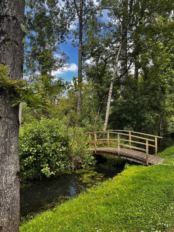 EEB98331 8A47 4086 B17C 95DD546D4122 1 105 c