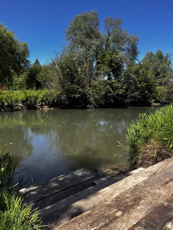 F67A286E 65A0 4251 83D2 0F59A8F5BB15 1 105 c (1)